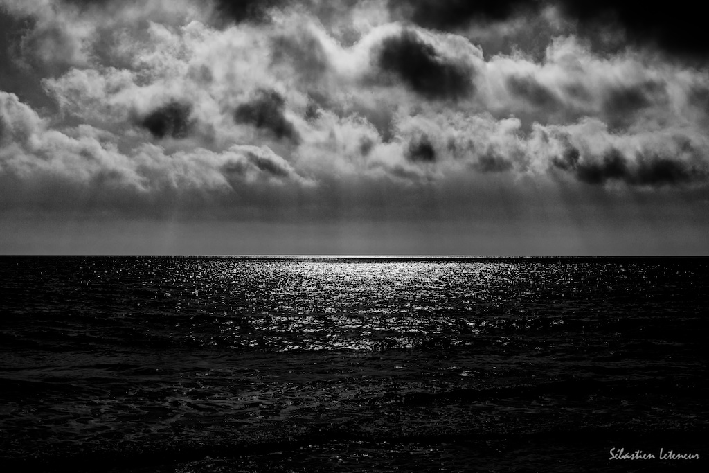 The call of the sea